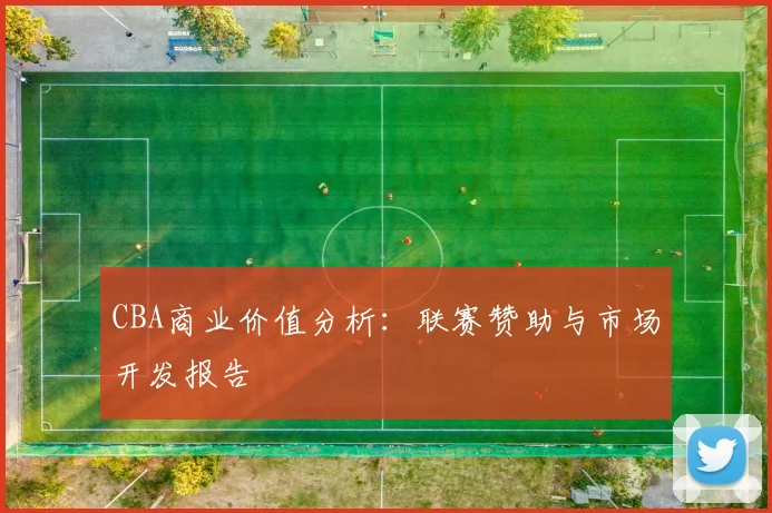 CBA商业价值分析:联赛赞助与市场开发报告