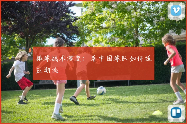 排球战术演变:看中国球队如何适应潮流